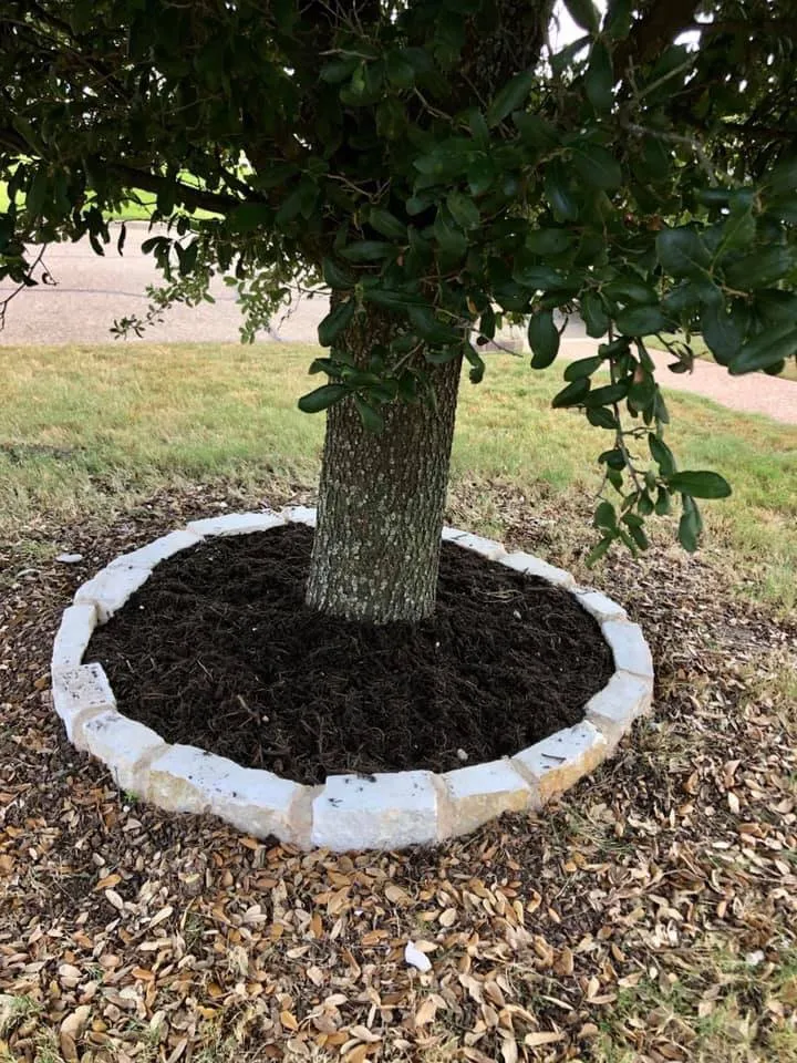 Custom yard maintenance near you across Waco, TX - Watkins Lawn Services