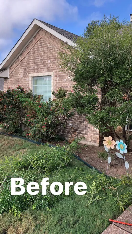 Custom lawn care service in Waco, TX - Watkins Lawn Services