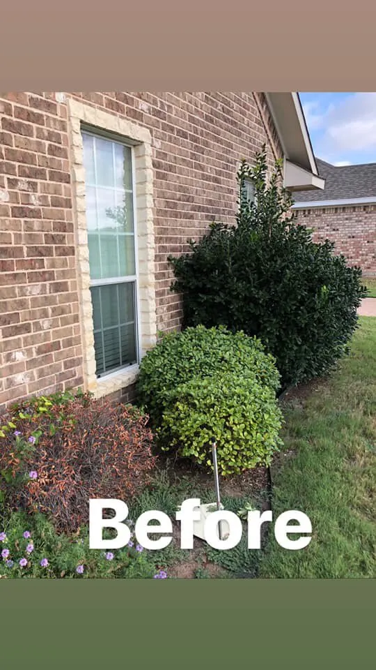 Affordable landscape design experts serving Waco, TX - Watkins Lawn Services