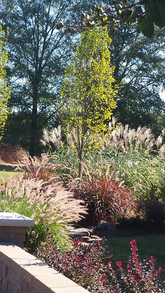 Expert landscape installation with custom design across Midlothian, VA - Watkins Nurseries