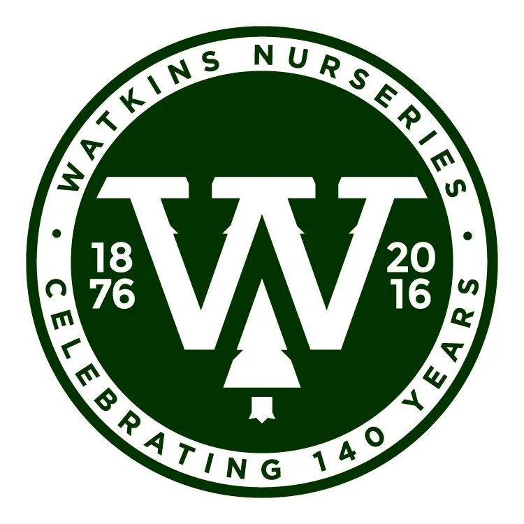 Expert outdoor landscaping experts serving Midlothian, VA - Watkins Nurseries