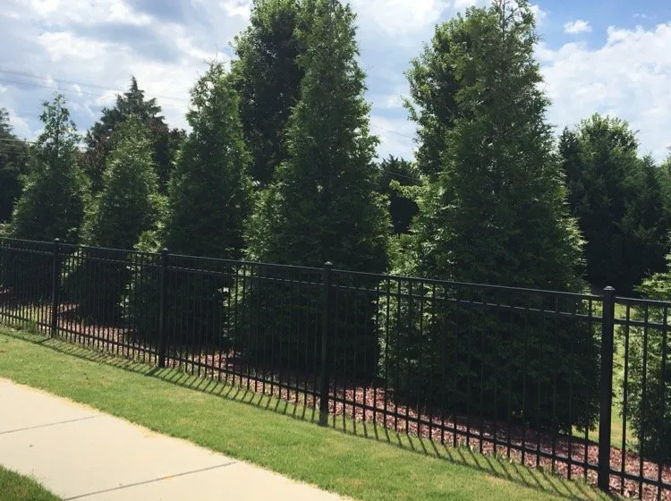 Reliable outdoor landscaping for beautiful yards in Charlotte, NC by Watkins Outdoor Landscape Management