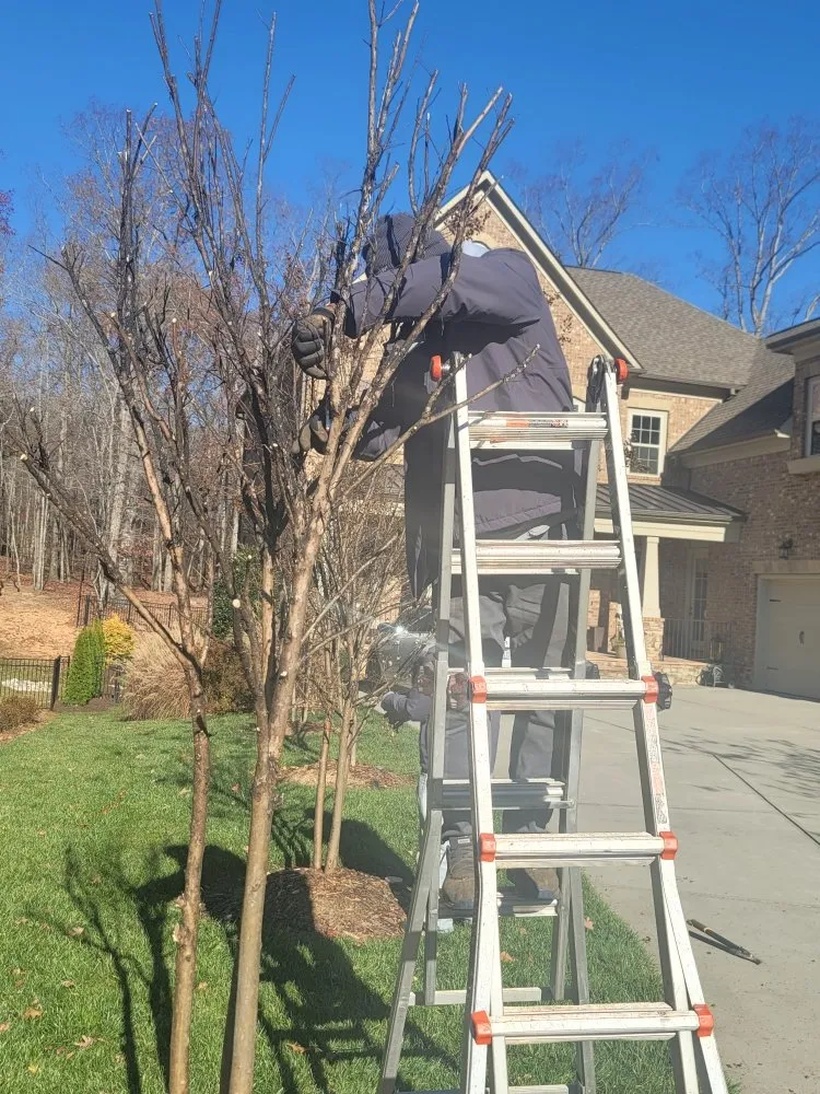 Custom lawn mowing service for beautiful yards across Charlotte, NC - Watkins Outdoor Landscape Management