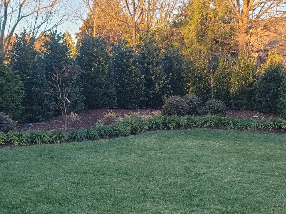 Professional landscape installation for outdoor upgrades across Charlotte, NC - Watkins Outdoor Landscape Management