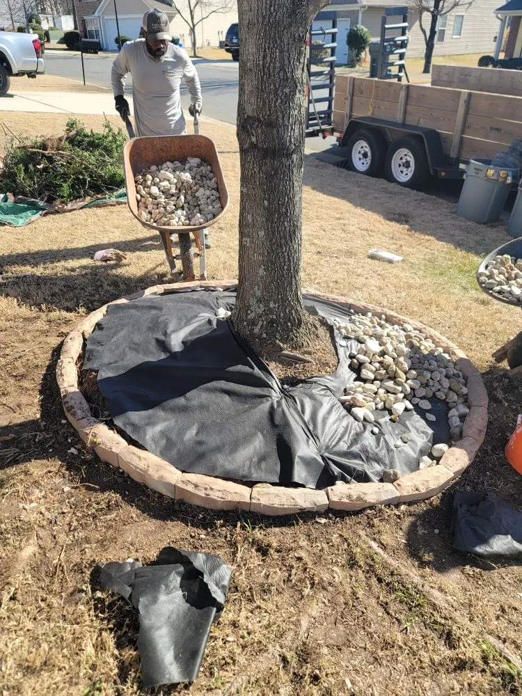 Local lawn care service for residential properties across Charlotte, NC - Watkins Outdoor Landscape Management