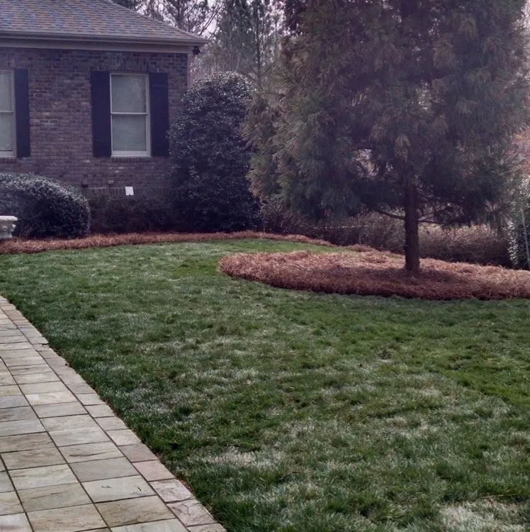 Trusted yard maintenance for homes in Charlotte, NC by Watkins Outdoor Landscape Management