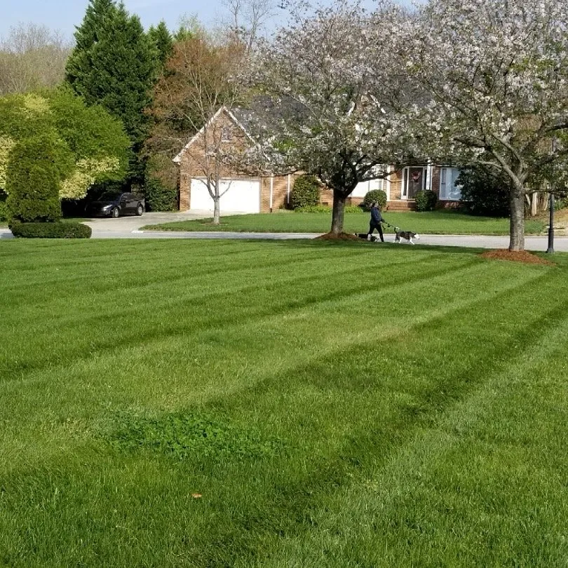 Professional landscape installation in Charlotte, NC - Watkins Outdoor Landscape Management