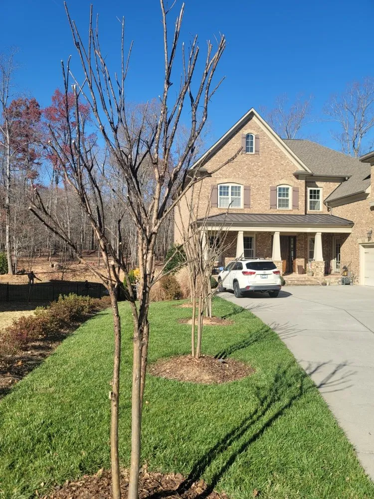Expert yard cleanup service in Charlotte, NC by Watkins Outdoor Landscape Management