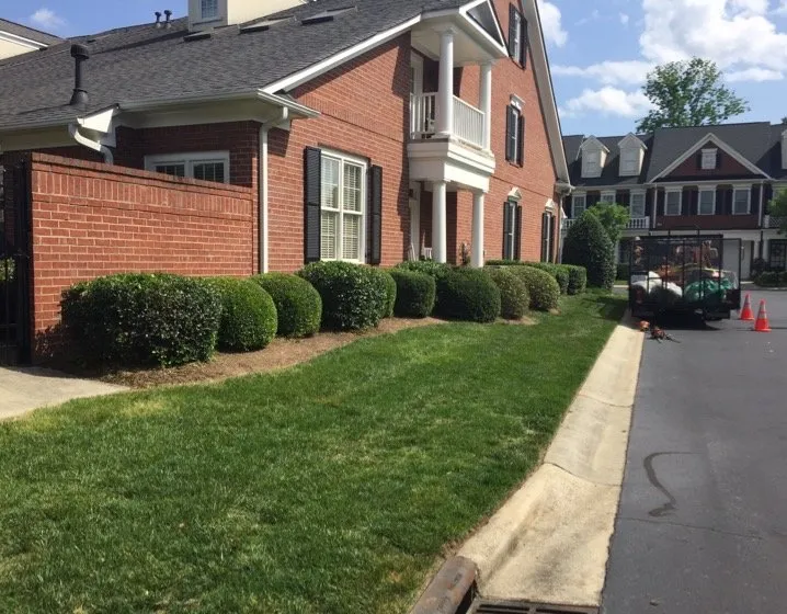 Local residential landscaping in Charlotte, NC by Watkins Outdoor Landscape Management