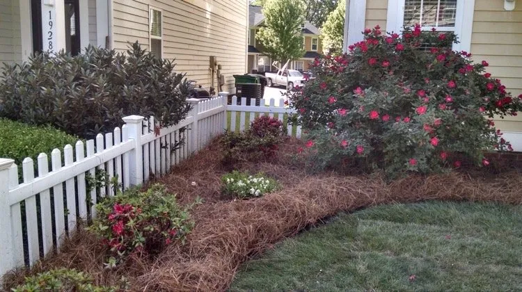 Reliable garden landscaping near you across Charlotte, NC - Watkins Outdoor Landscape Management