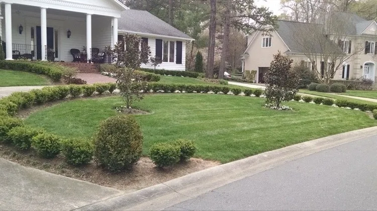 Expert landscape design for year-round maintenance in Charlotte, NC by Watkins Outdoor Landscape Management