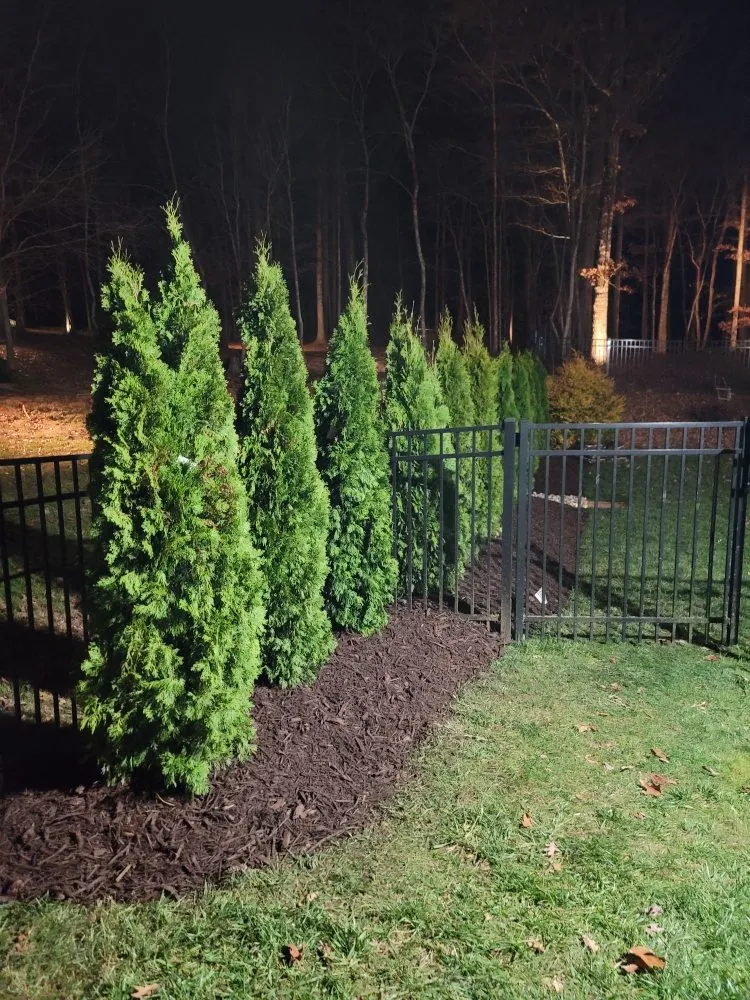 Custom residential landscaping experts serving Charlotte, NC - Watkins Outdoor Landscape Management