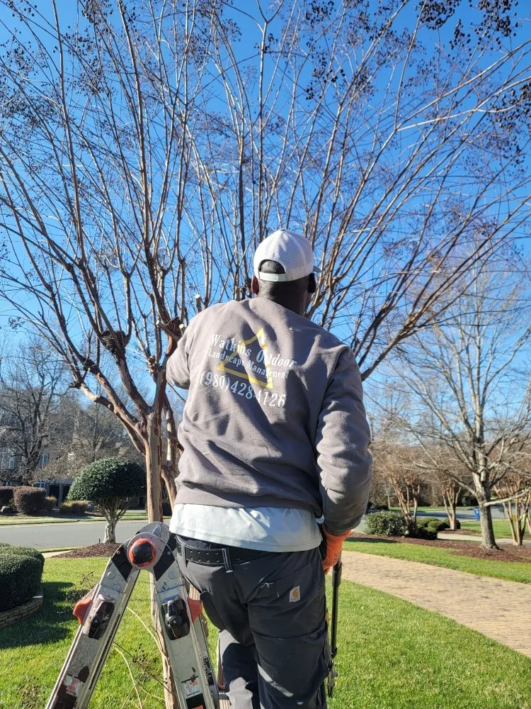 Trusted landscape installation experts serving Charlotte, NC - Watkins Outdoor Landscape Management