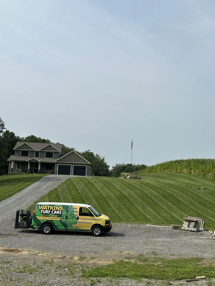 Top-rated yard cleanup service in New Castle, PA by Watkins Turf Care