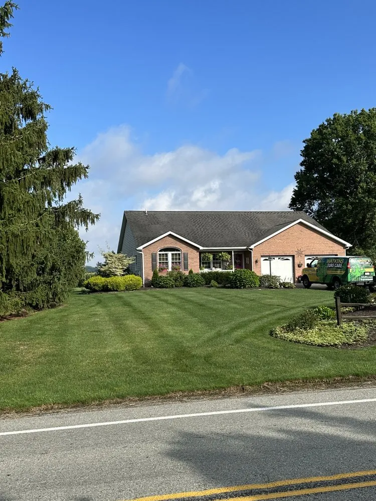 Local yard cleanup service for outdoor upgrades in New Castle, PA by Watkins Turf Care