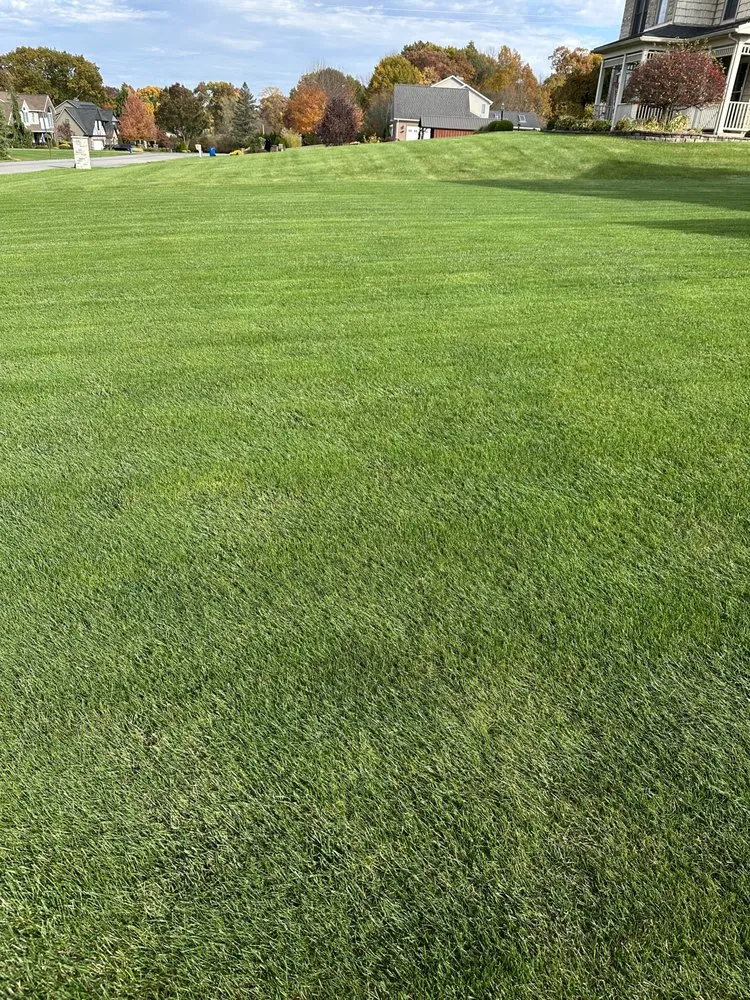 Reliable landscape installation for beautiful yards in New Castle, PA by Watkins Turf Care