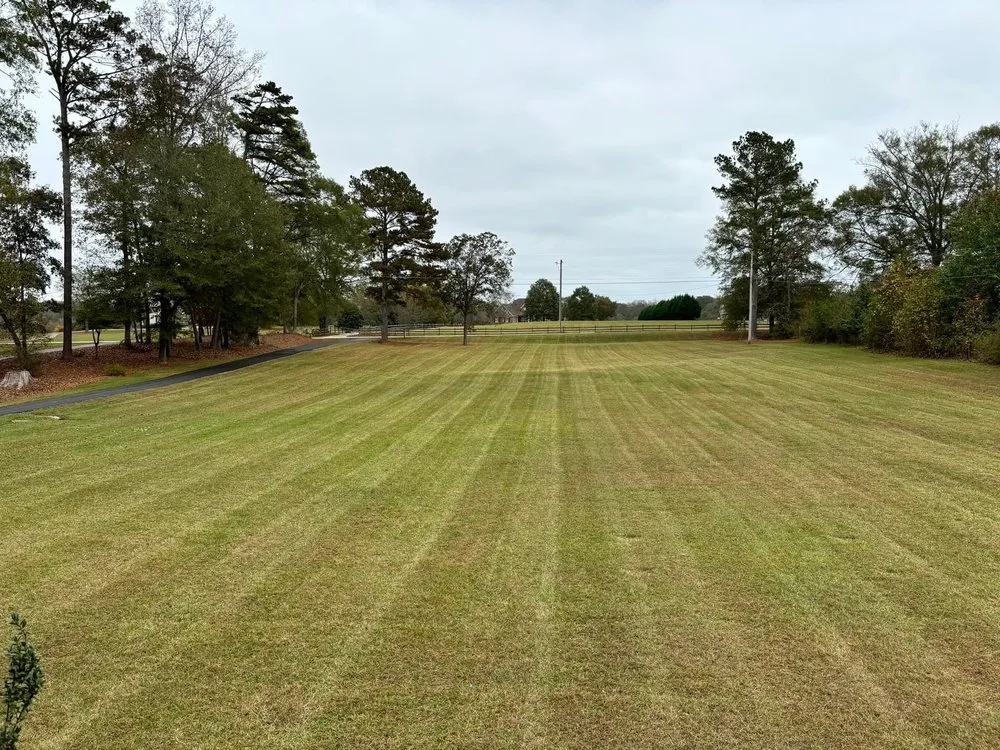 Top-rated residential landscaping for outdoor upgrades in Crestview, FL by Watkins Wildscapes