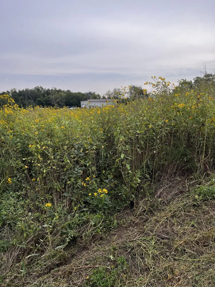 Reliable garden landscaping near you across Sullivan, MO - Watson & Co