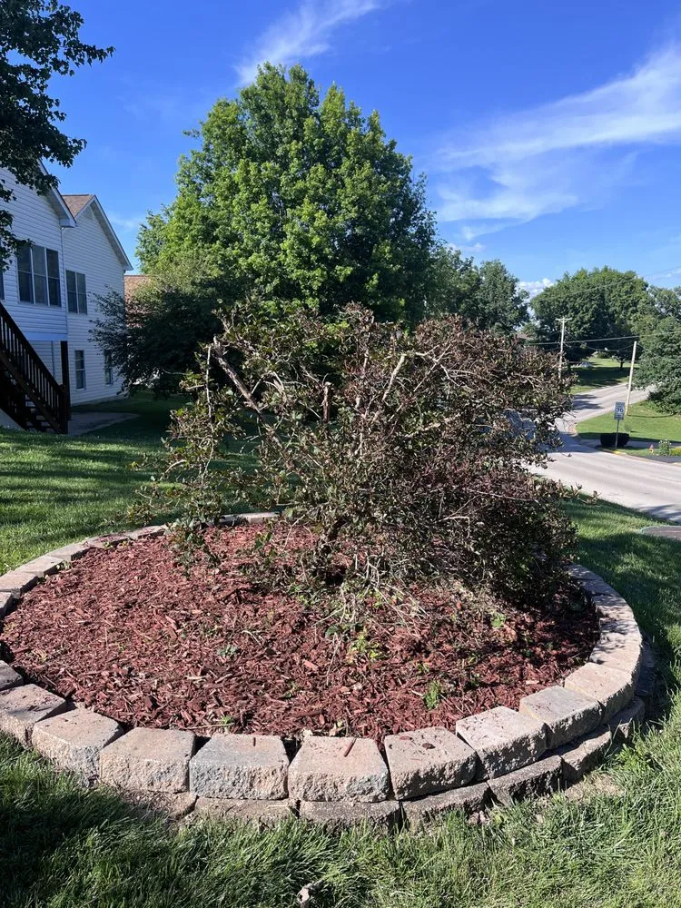 Affordable yard cleanup service near you in Sullivan, MO by Watson & Co