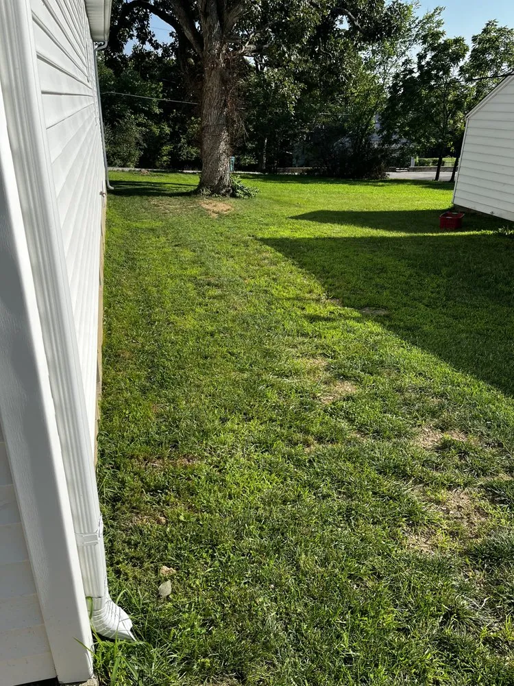 Local landscape installation experts serving Sullivan, MO - Watson & Co