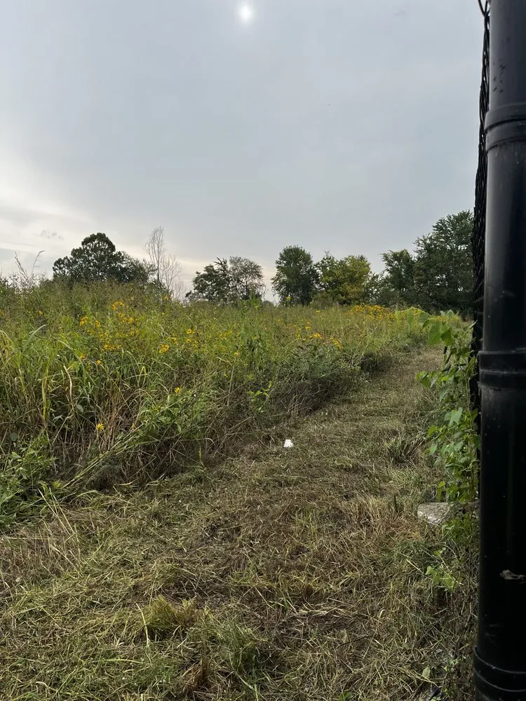 Professional outdoor landscaping for year-round maintenance in Sullivan, MO by Watson & Co