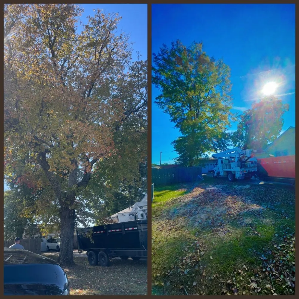 Expert yard maintenance in Hanceville, AL by Watson Enterprises Group