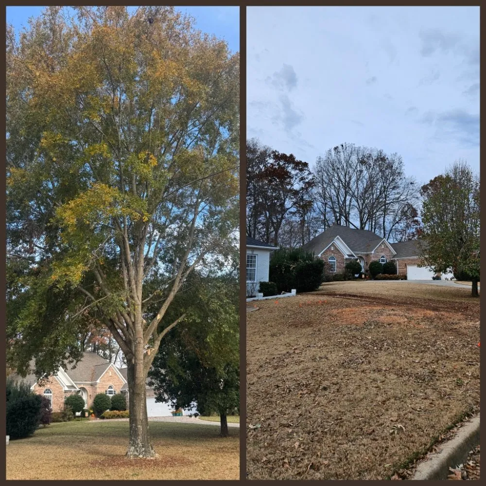 Custom yard maintenance near you across Hanceville, AL - Watson Enterprises Group