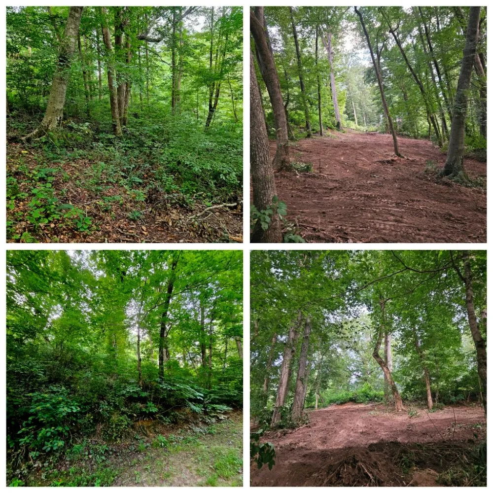 Trusted landscaping services for homes across Hanceville, AL - Watson Enterprises Group