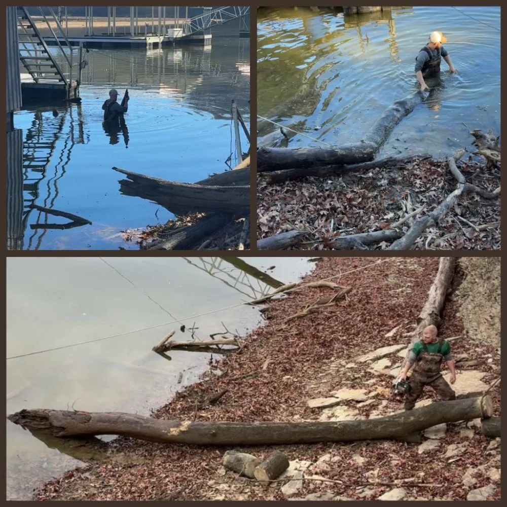 Custom yard cleanup service for beautiful yards across Hanceville, AL - Watson Enterprises Group