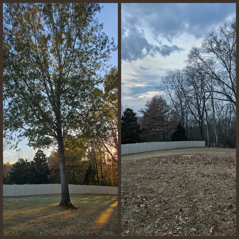 Custom lawn mowing service in Hanceville, AL by Watson Enterprises Group