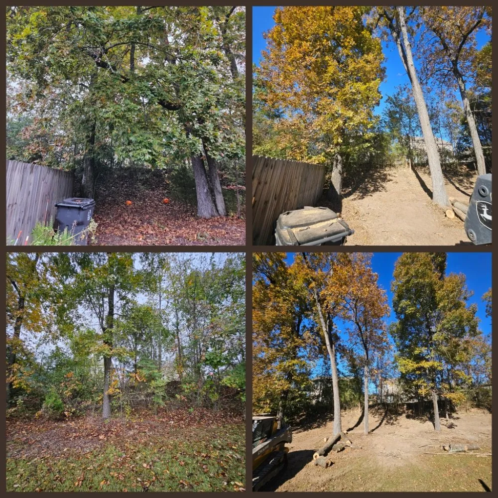 Expert yard cleanup service experts serving Hanceville, AL - Watson Enterprises Group