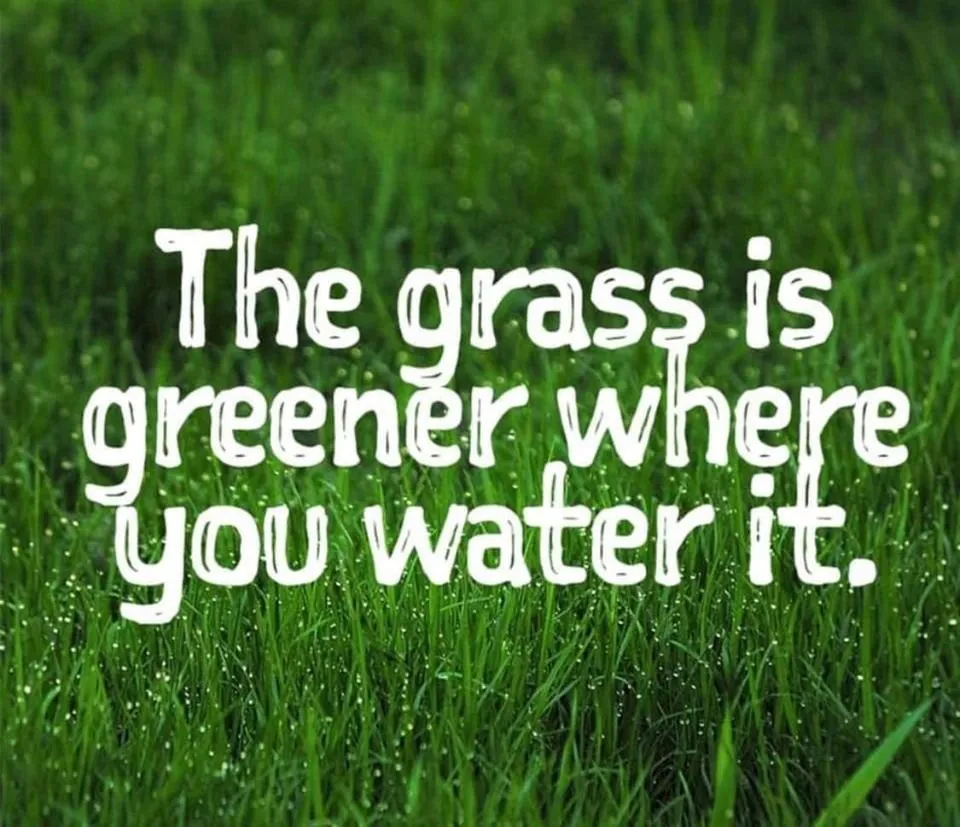 Professional yard cleanup service in Fort Worth, TX - Watson Landscaping Services