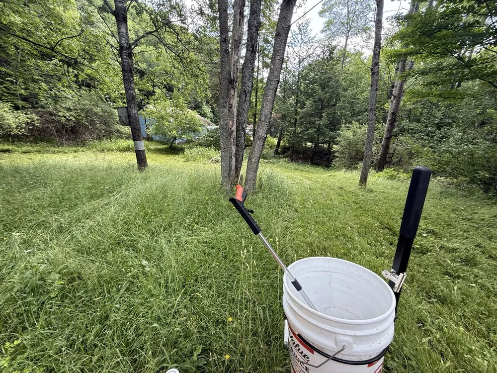 Reliable landscaping services in Cuba, NY - Watson Lawn and IR Inspection