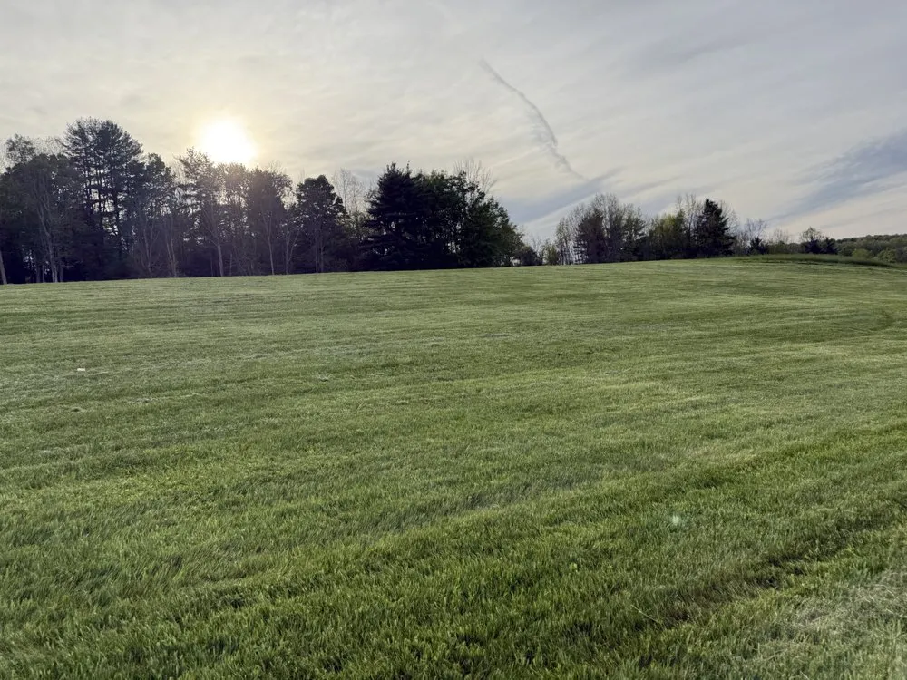 Expert landscaping services in Cuba, NY by Watson Lawn and IR Inspection