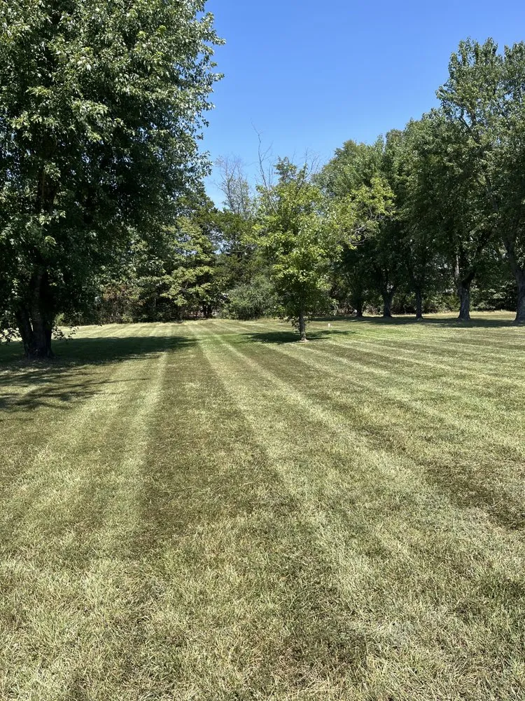 Top-rated lawn care service for homes across Holland, AR - Watson Lawn Care