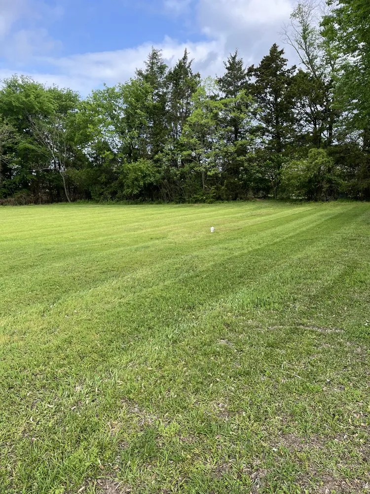 Reliable lawn care service for beautiful yards across Holland, AR - Watson Lawn Care