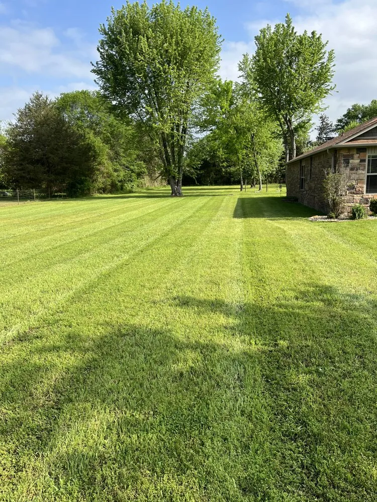 Professional yard cleanup service in Holland, AR by Watson Lawn Care