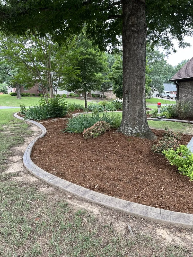 Top-rated lawn mowing service experts serving Holland, AR - Watson Lawn Care