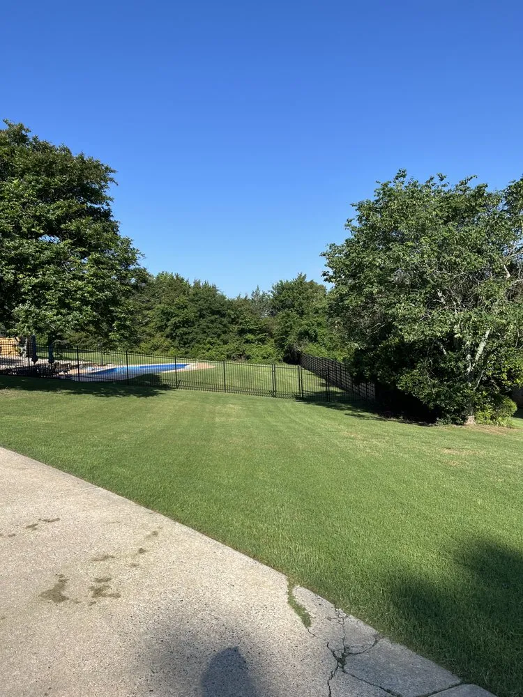 Expert yard cleanup service in Holland, AR by Watson Lawn Care
