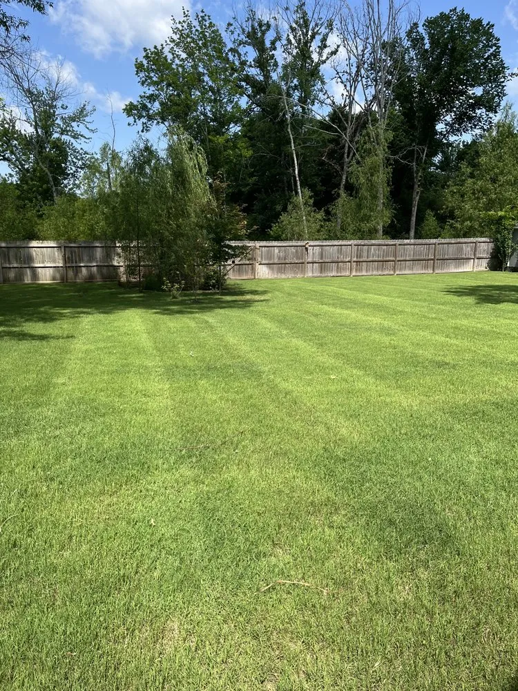 Expert yard cleanup service near you in Holland, AR by Watson Lawn Care