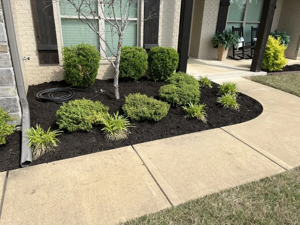 Local landscape design experts serving Holland, AR - Watson Lawn Care