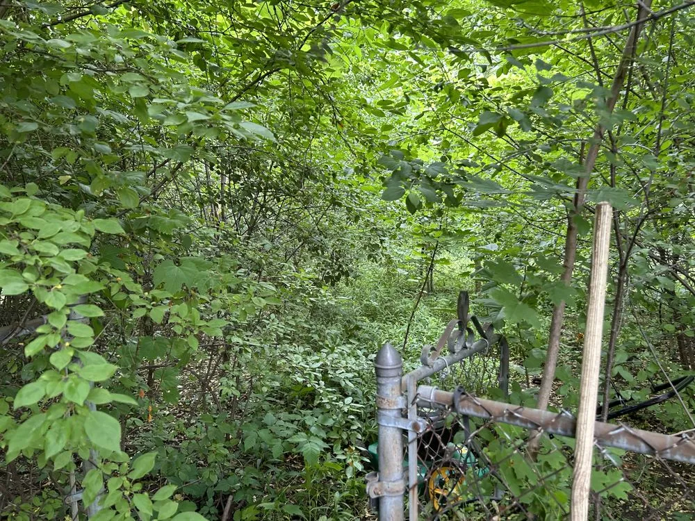 Custom lawn care service in Flint, MI by Watson Lawn Service