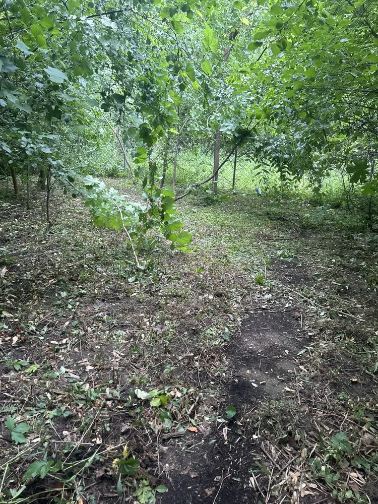 Expert lawn care service with custom design across Flint, MI - Watson Lawn Service