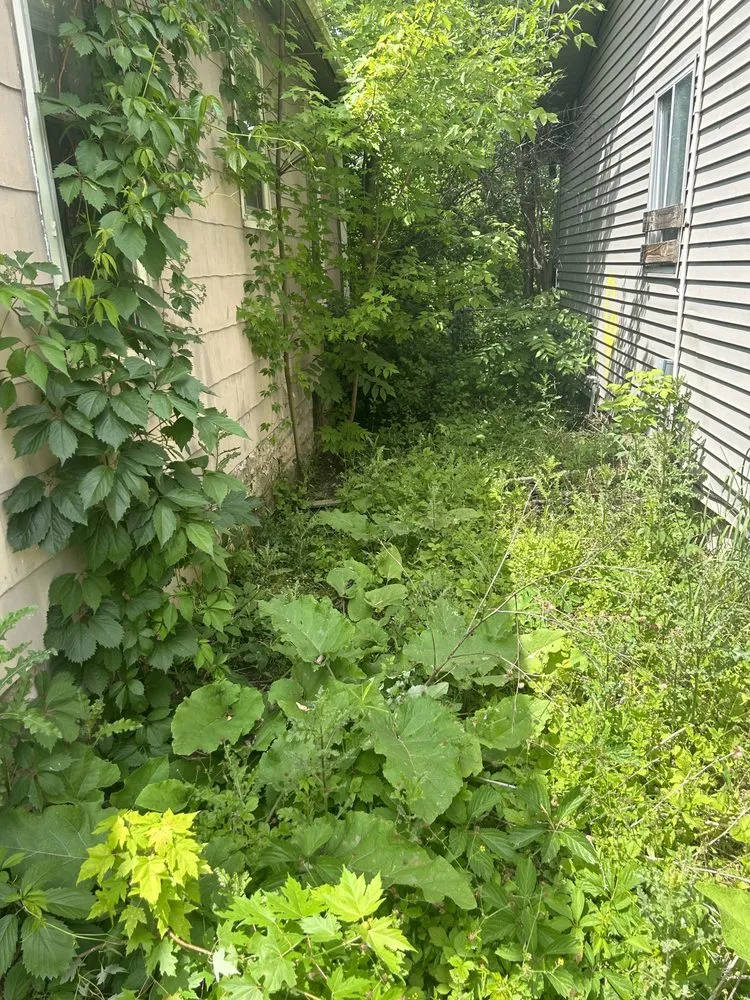 Custom lawn mowing service with custom design in Flint, MI by Watson Lawn Service