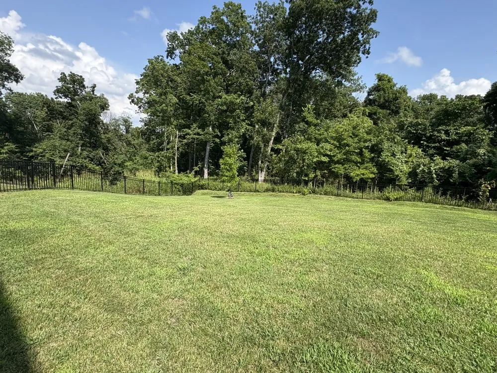 Affordable lawn mowing service experts serving Hallsville, MO - Watson Lawn Services