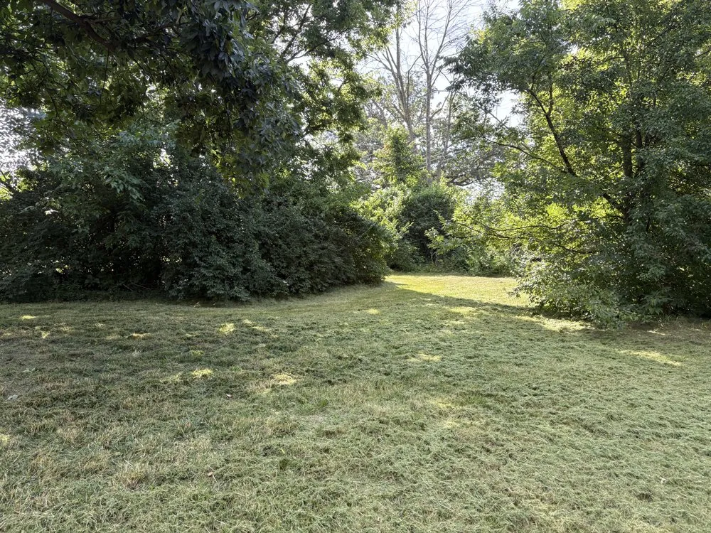Affordable yard cleanup service for beautiful yards in Hallsville, MO by Watson Lawn Services