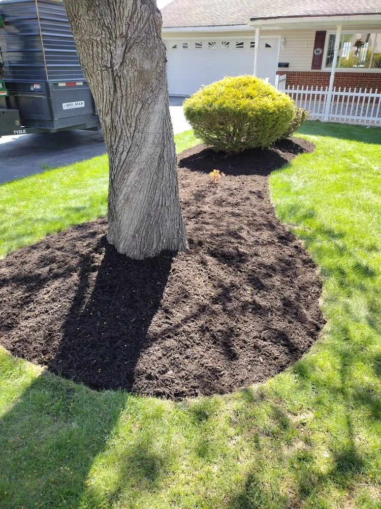 Expert residential landscaping in Falls Creek, PA by Watson Lawncare