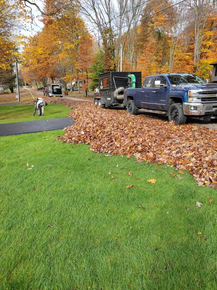 Custom landscape installation in Falls Creek, PA - Watson Lawncare