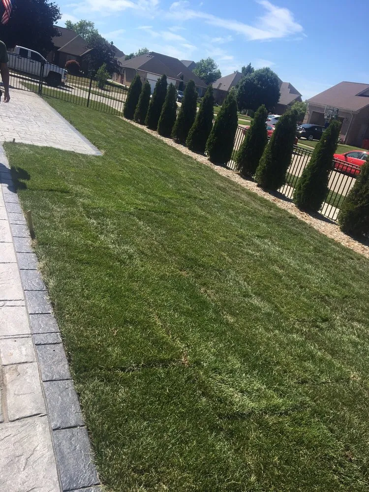 Affordable lawn mowing service for year-round maintenance across Armada, MI - Watson's Landscaping