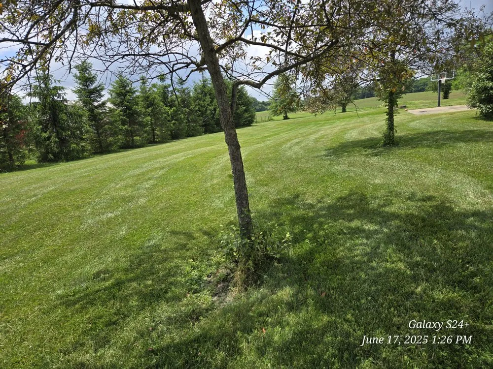 Reliable outdoor landscaping with custom design in Newark, OH by Watsons Lawn and Scrap Hauling and Welding